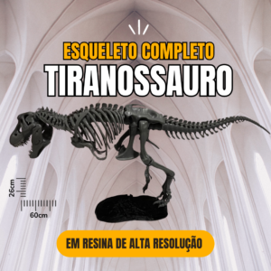 Tiranossauro Rex - Esqueleto 60cm